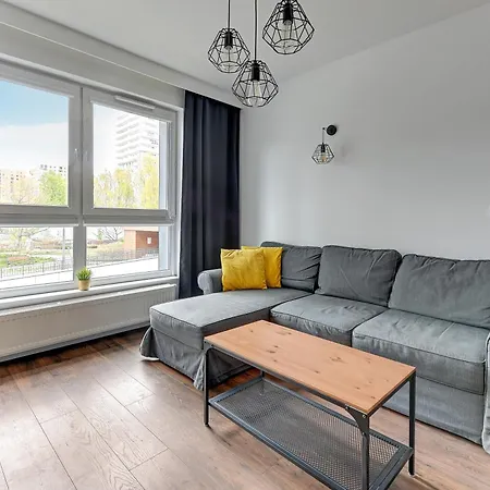 Platinium Spectrum Modern